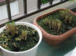 2008-9-7-020.jpg