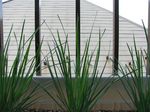 2009-4-29-001.jpg