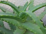 2009-5-25-011.jpg