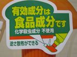 2009-5-25-013.jpg